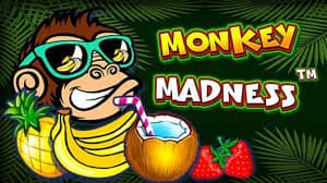 Monkey Madness